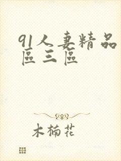 91人妻精品一区三区