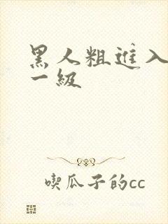 黑人粗进入欧美一级封面