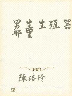 男生生殖器官是哪里