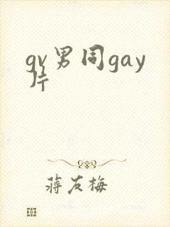 gv男同gay片封面