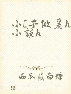 小[子做爰h文小说h
