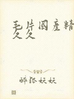 毛片国产精品久久久