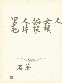 男人插女人下面毛片视频