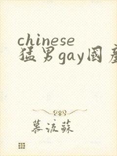 chinese猛男gay国产网站封面