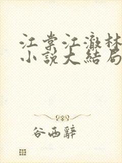 江棠江澈林晚晚小说大结局封面