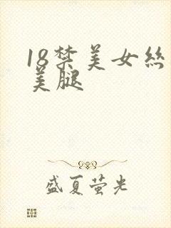 18禁美女丝袜美腿
