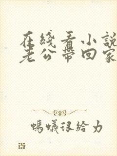 在线看小说国民老公带回家封面