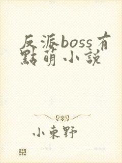 反派boss有点萌小说