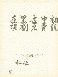 在黑夜中相拥电视剧免费观看完整版