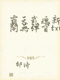 霸天武魂新笔趣阁无弹窗txt