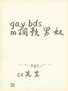 gay bdsm调教男奴