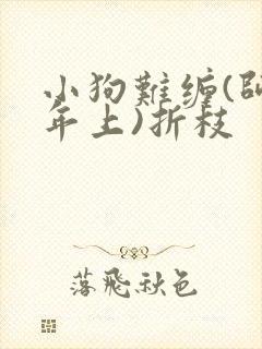 小狗难缠(师生年上)折枝
