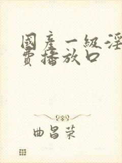 国产一级淫片免费播放口