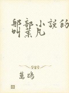 那部小说的主角叫叶凡