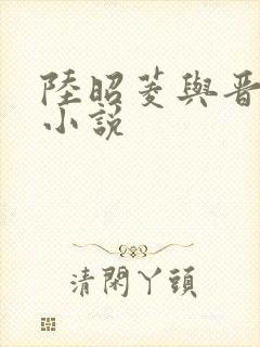 陆昭菱与晋王的小说