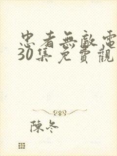 忠者无敌电视剧30集免费观看高清