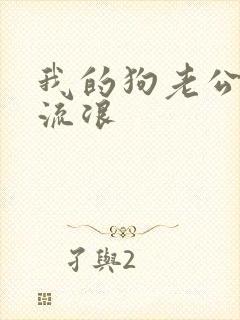 我的狗老公是只流浪