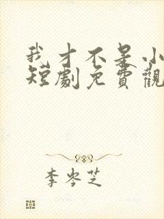 我才不是小可怜短剧免费观看全集