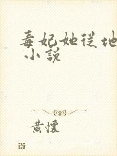 毒妃她从地狱来 小说