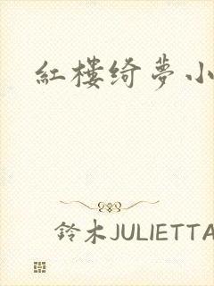 红楼绮梦小说