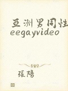 亚洲男同性freegayvideo