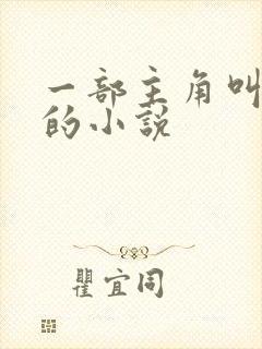 一部主角叫叶楚的小说封面