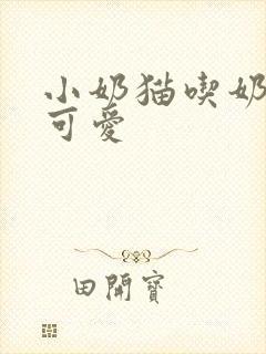 小奶猫吃奶有多可爱封面