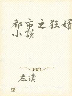 都市之狂婿战神小说