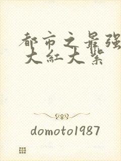 都市之最强狂兵 大红大紫