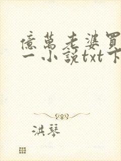 亿万老婆买一送一小说txt下载封面