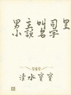 男主叫司昱恒的小说名字