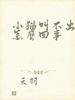 小猫叫不出声音怎么回事