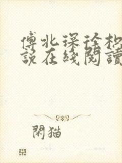 傅北琛徐枳晚小说在线阅读