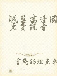 贼巢高清国语版免费观看