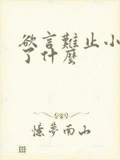 欲言难止小说讲了什么