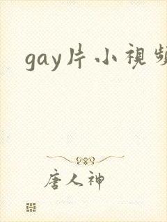 gay片小视频