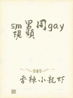 sm男同gay视频