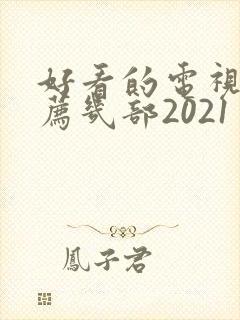 好看的电视剧推荐几部2021