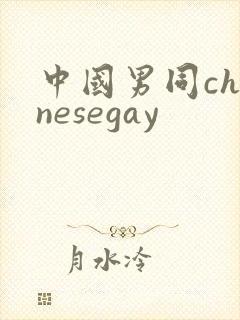 中国男同chinesegay