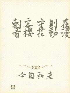 刺客守则在线观看樱花动漫