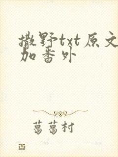 撒野txt原文加番外