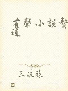 有声小说赘婿当道封面