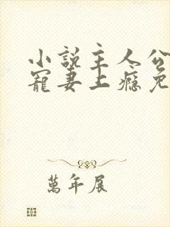 小说主人公叔他宠妻上瘾免费阅读