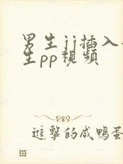 男生jj插入女生pp视频