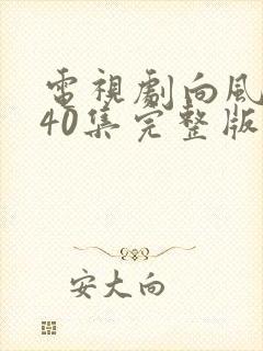 电视剧向风而行40集完整版封面