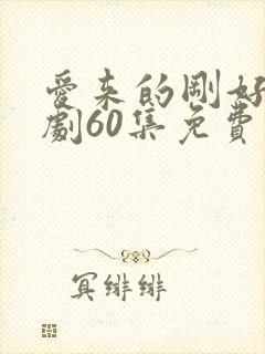 爱来的刚好电视剧60集免费观看