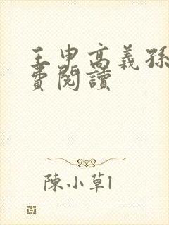 王申高义孙倩免费阅读