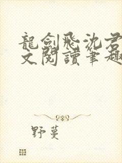 龙剑飞沈君茹全文阅读笔趣阁封面