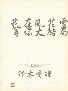 我在风花雪月中等你大结局封面