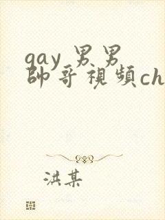 gay 男男 帅哥视频chinese